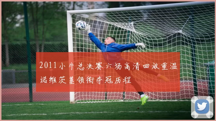 2011小牛总决赛六场高清回放重温诺维茨基领衔夺冠历程
